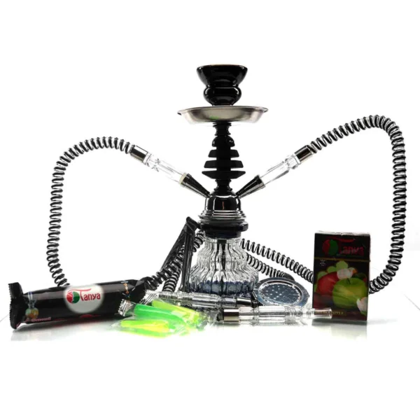 TANYA HOOKAH KIT | ASSORTED - Image 2